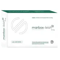 Como saber se meu cachorro tem calazar? Sintomas e cuidados essenciais