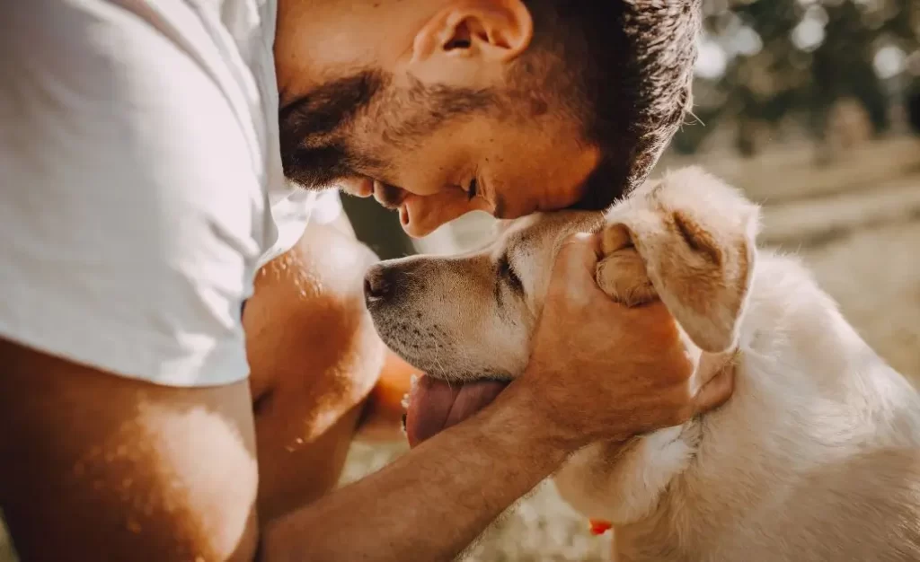 Como Tratar Leishmaniose Canina?