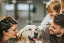 Photo of Leishmaniose visceral canina tem cura? Entenda o que é remissão clínica e como tratar a doença