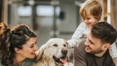 Photo of Leishmaniose visceral canina tem cura? Entenda o que é remissão clínica e como tratar a doença