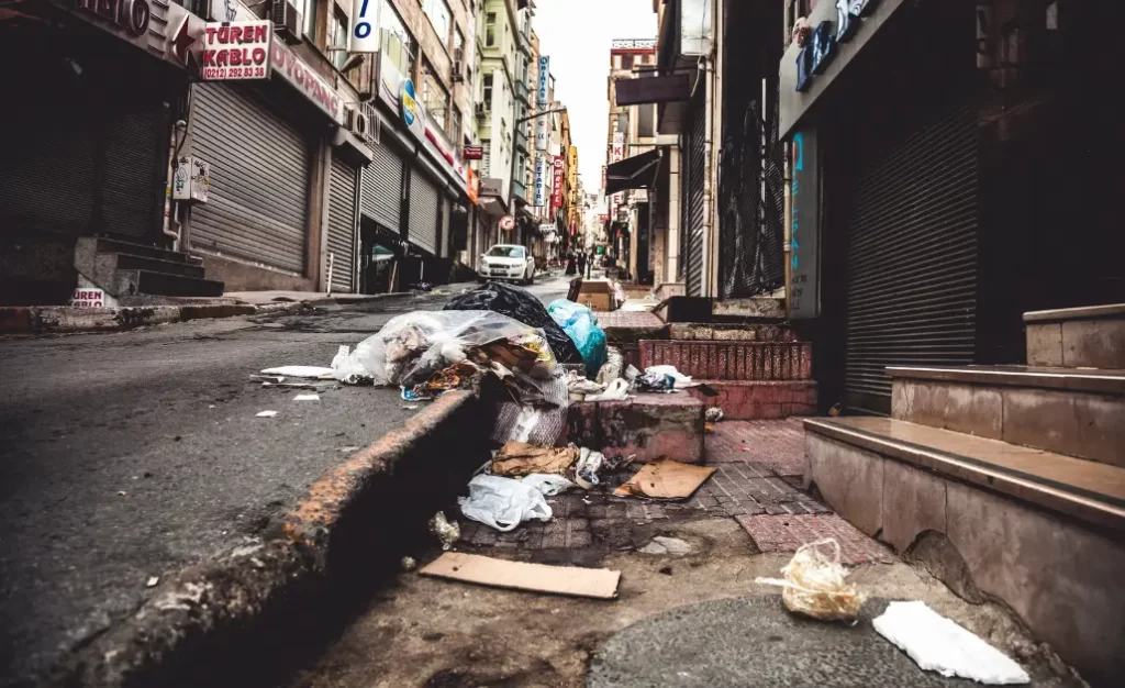 Mosquito-palha: como eliminar e prevenir a picada do transmissor da leishmaniose visceral canina?