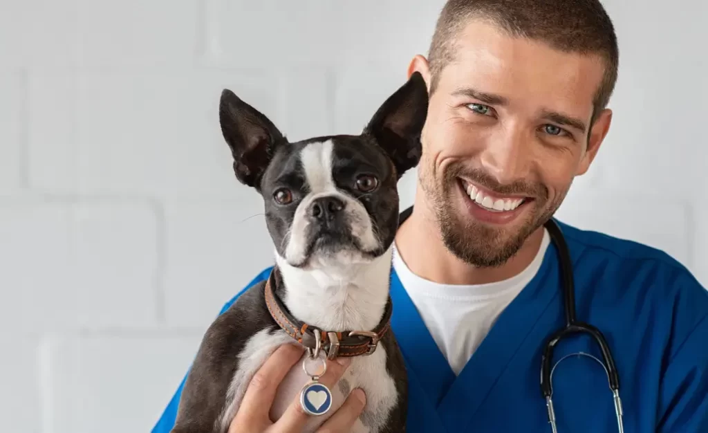 Como eliminar pulgas do cachorro: 7 dicas simples, práticas e eficientes