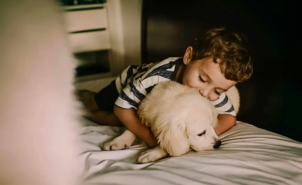 Leishmaniose Canina: Perguntas Comuns que os Veterinários Mais Recebem