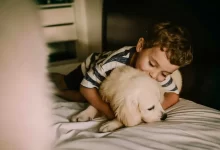 Photo of Seu cão pode estar infeliz por causa dos carrapatos e das pulgas