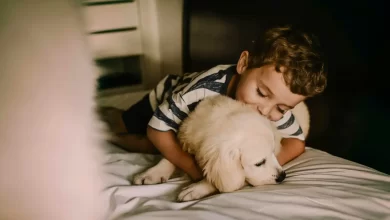 Photo of Seu cão pode estar infeliz por causa dos carrapatos e das pulgas