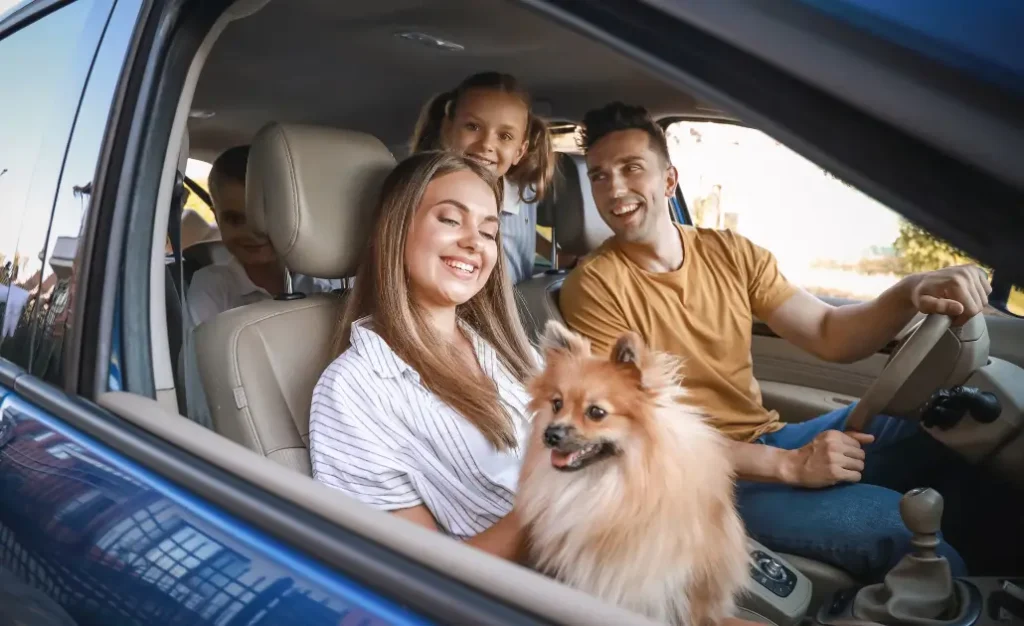 Destinos seguros para viajar com seu cachorro onde o risco de leishmaniose é menor