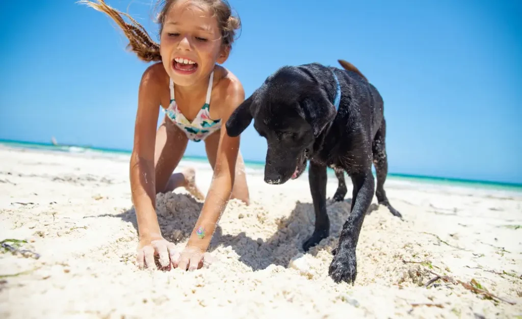 Cuidados com o cachorro na praia: como evitar a leishmaniose e o verme do coração Cuidados com o cachorro na praia: como evitar a leishmaniose e o verme do coração